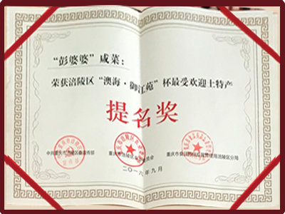 资质荣誉
