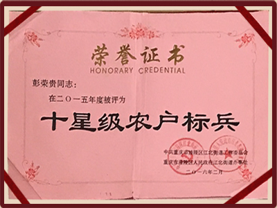资质荣誉