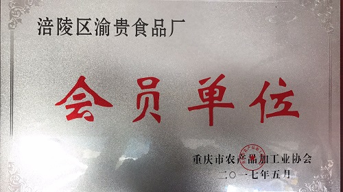 资质荣誉